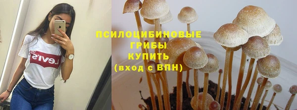 ешки Бронницы