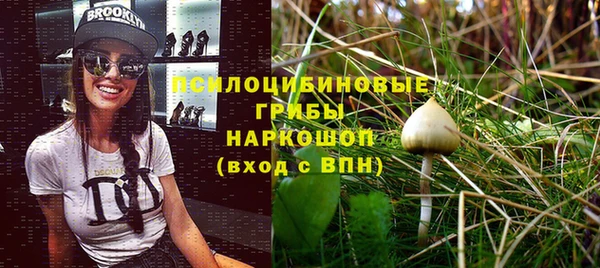 МДПВ Мегион