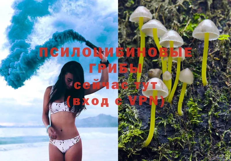 Галлюциногенные грибы Magic Shrooms  hydra ТОР  Инза  купить наркотики сайты 